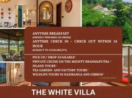 The White Villa- A Luxurious stay rooted in tradition