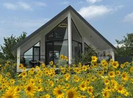 Yellow House Natakhtari