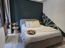 Appartement Cosy en Hyper Centre