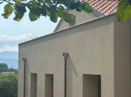 Ecoloft Radici