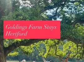 Farmstay riverside BELLTENT and activities