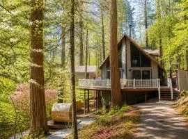 A-Frame Cabin - BBQ, Sauna, Hot Tub, Fire Pit, Projector