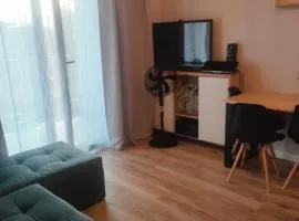 Apartament Bieszczady 2