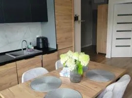 Apartament na Letniej