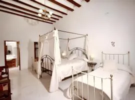 Charming House in Ayora + Terrace