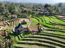 D'Ume Bendoel Homestay