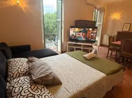 Central Studio Apartment