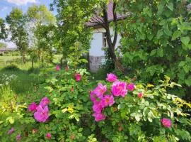 Storchenhorst