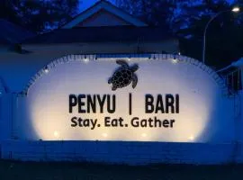 Penyu Bari