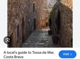 Guesthouse Tossa de Mar