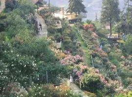 Sapa Rose Garden Resort