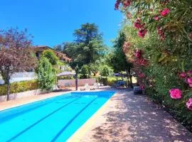 Campo cerca de Madrid Kids pets welcome