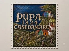 Pupa1824 casedamare