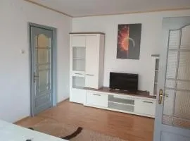 Apartament Central
