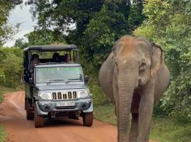 Emarald Yala safari tours