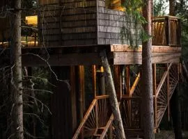 Lootvina Houses - Luxury treehouse with all modern amenities