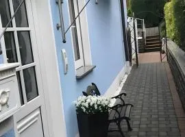 Blue-House Mosel