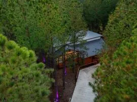 Secluded Luxury Cabin w/ Hot Tub & Fireplace