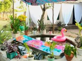 Palm Paradise