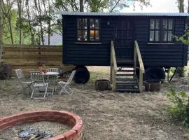 The Woodland Hideout Shepherd's Hut - Farm Stay