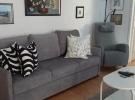 Tilava kaksio 55m2 keskustassa, autopaikka, ilmalämpöpumppu, hyvin varusteltu
