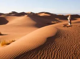 Arabian Horse camp