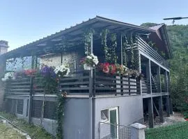 Guesthouse PerroiMilloshit