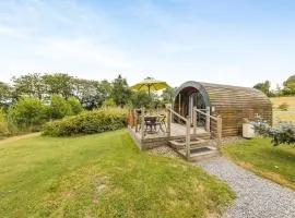 1 Bed in Lampeter oc-78189