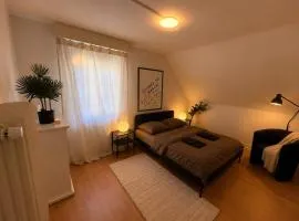 Cozy Modern Room with Netflix, WiFi and Self Check-in