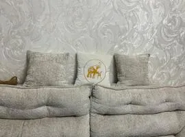 New Hostel by 10 USD
