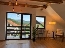 Dana apartment with Garden near Tara National Park