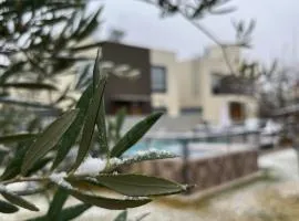Vineyard Olive Inn -Pool & Wine Route Experience