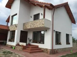 Pensiunea Bradului