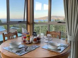 Breakfast Provisions Provided With Harbour View
