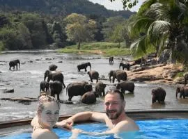 Hotel Elephant Bay - World's Best Place to See the Elephants