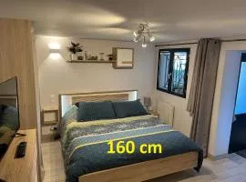 "Le 3 Bis" Climatisé,1 lit King Size