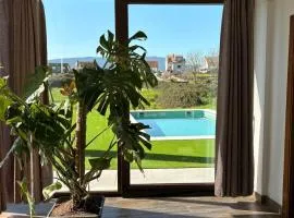Villa Cesantes