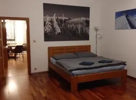 Vila Vítkovice