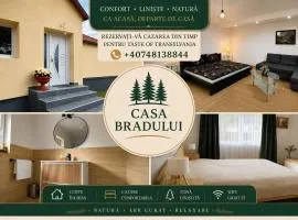 Casa Bradului