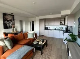 Amazing pent house by airport