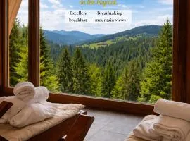 Apartmaji na kozolcu - Smogavc