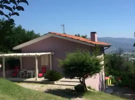 Villetta Immersa Tra Olivi