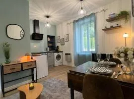 Le Forge appartement cosy centre ville