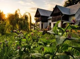 Siedlisko Po Kolei - blisko Kazimierza Dolnego