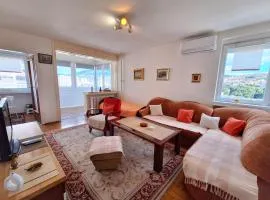 Apartman Pasic