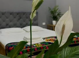 The Art Hotel by Art Hostel