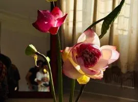 Phố Núi Homestay Cao Bằng