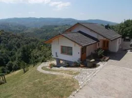 Prima Apartment