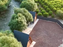 Arpa Nest