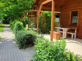 Dream Horse Apartman Cserkeszőlő